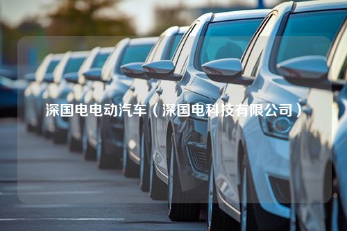 深国电电动汽车（深国电科技有限公司）