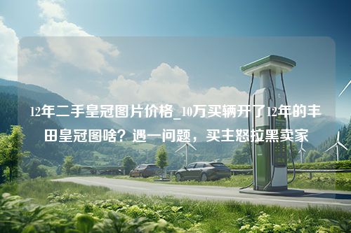 12年二手皇冠图片价格_10万买辆开了12年的丰田皇冠图啥？遇一问题，买主怒拉黑卖家