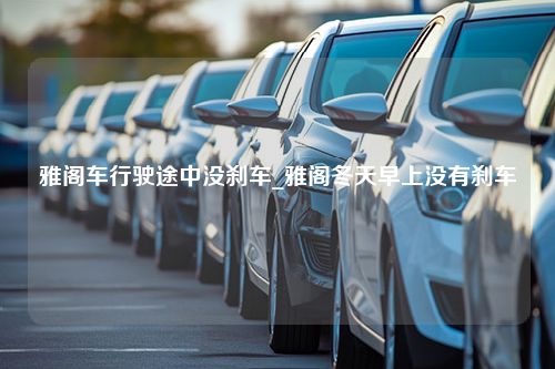 雅阁车行驶途中没刹车_雅阁冬天早上没有刹车