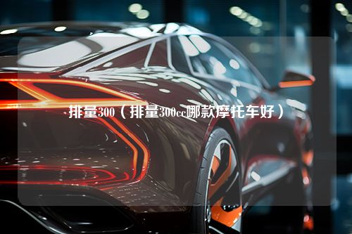 排量300（排量300cc哪款摩托车好）